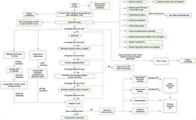 Management of Severe Traumatic Brain Injury in Pediatric Patients
